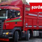 Şoför / Sürücü