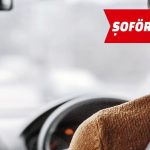 Uzun Yol Tır Sürücüsü (Gaziantep)