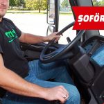 Şoför / Sürücü